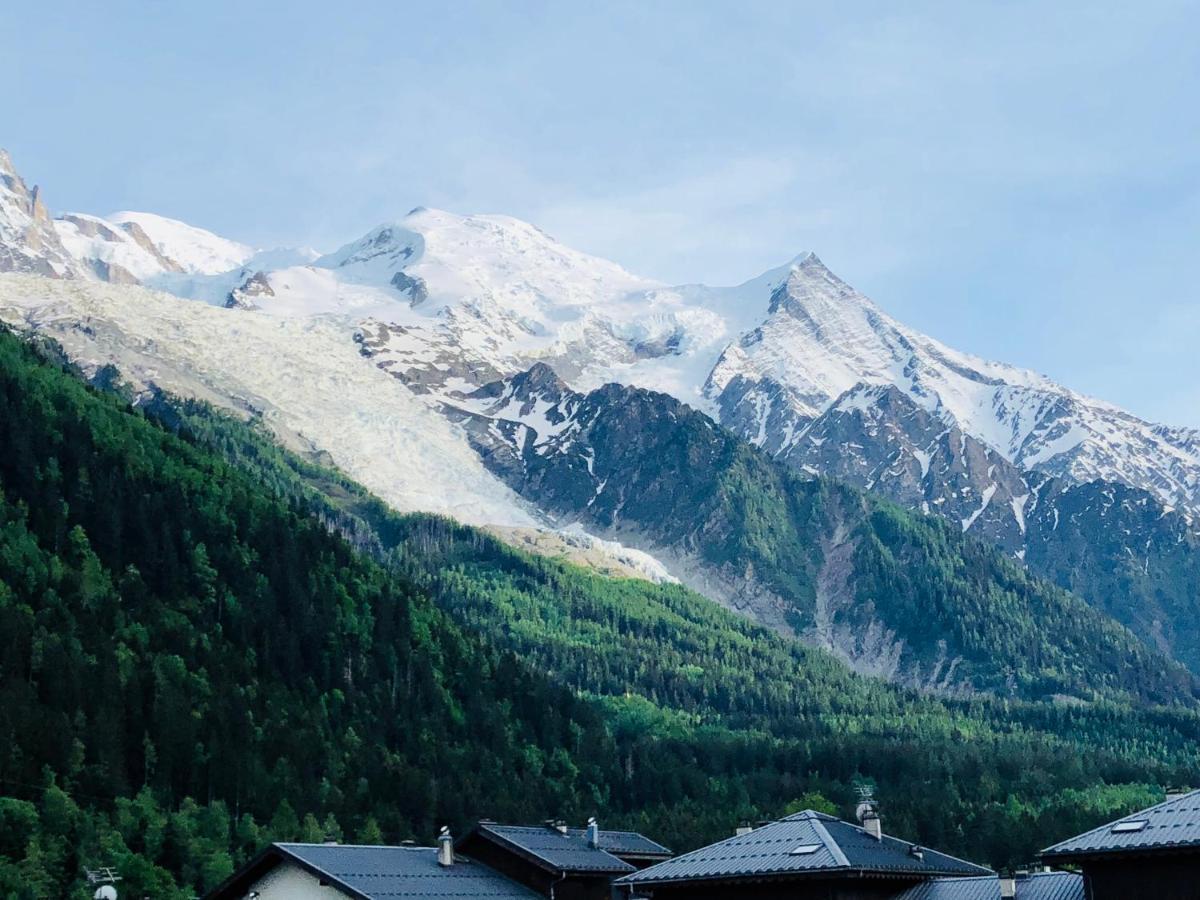 Mont Blanc 43, Vue Mont Blanc , Balcon, Parking Apartment Chamonix Bagian luar foto