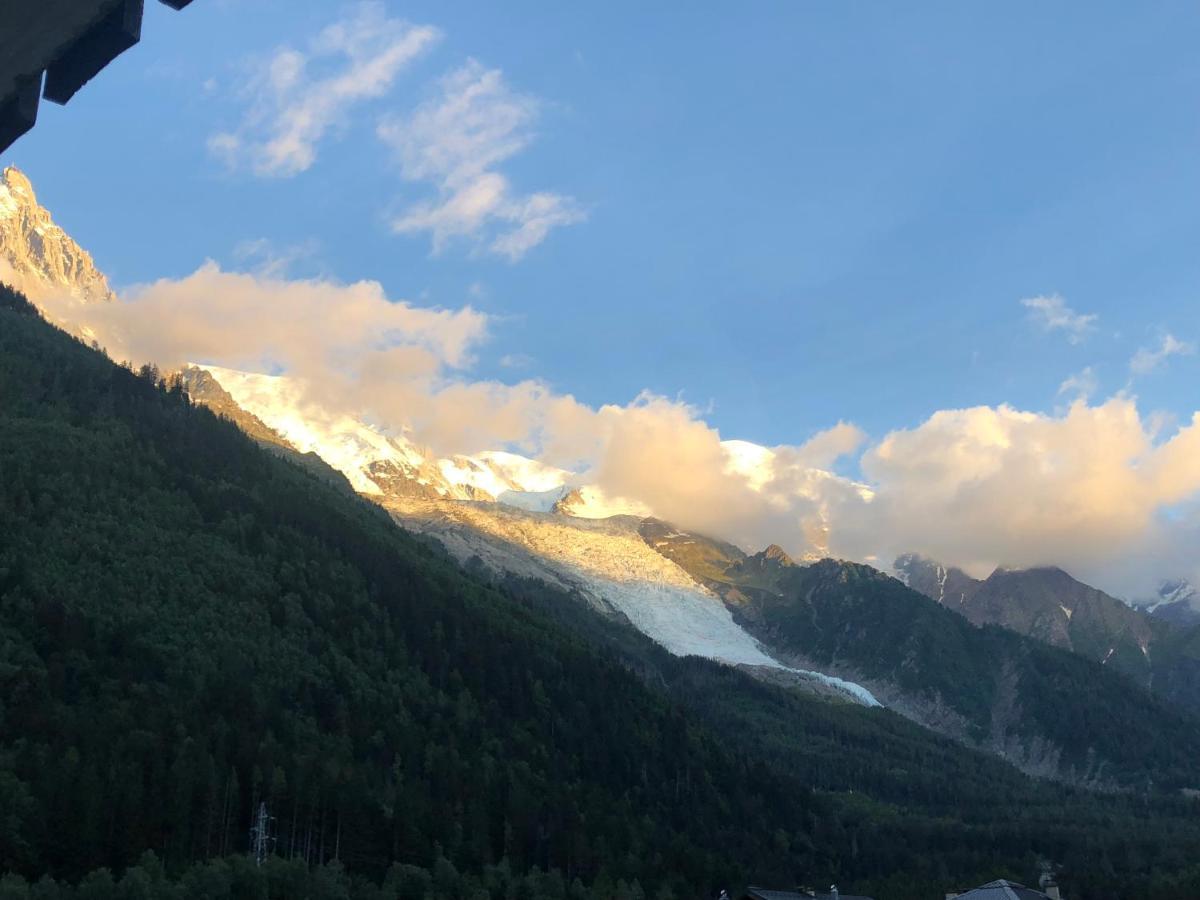 Mont Blanc 43, Vue Mont Blanc , Balcon, Parking Apartment Chamonix Bagian luar foto
