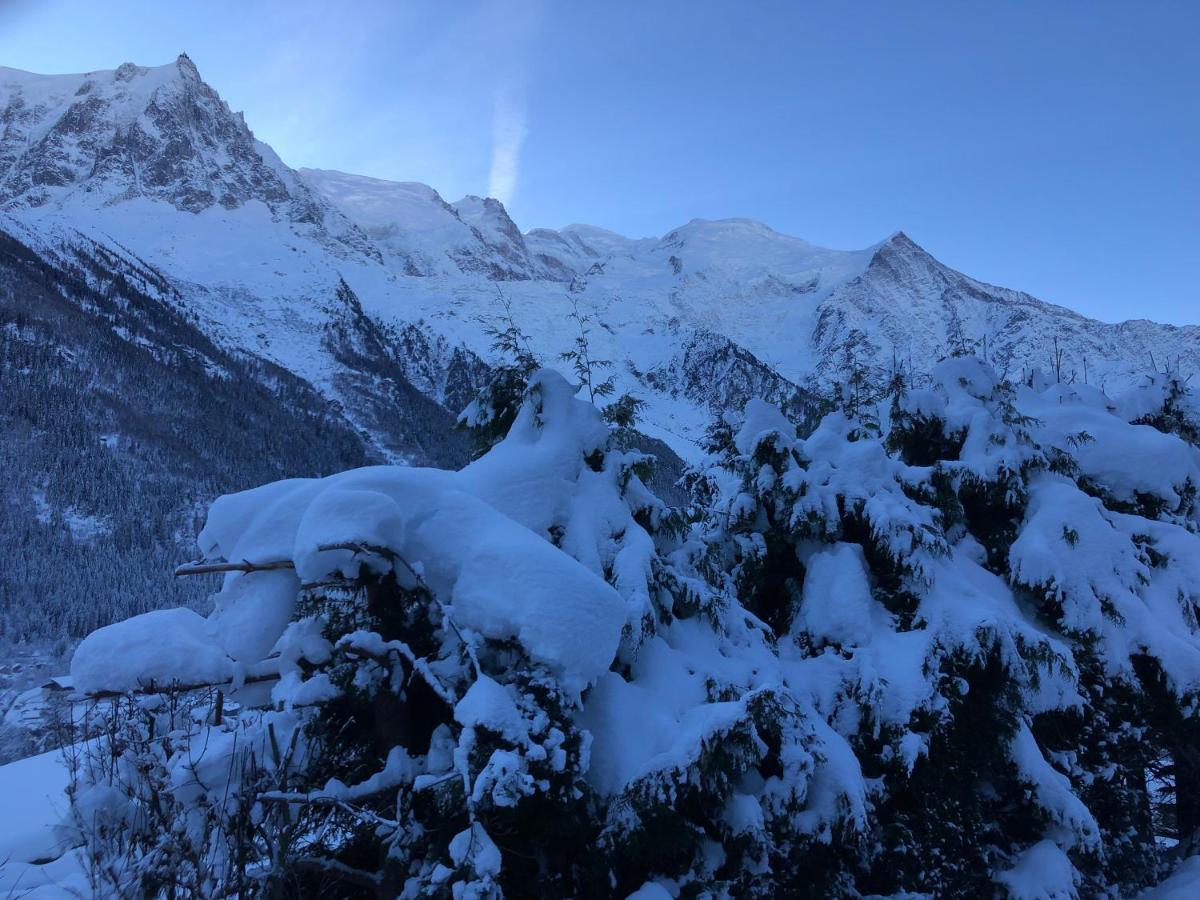 Mont Blanc 43, Vue Mont Blanc , Balcon, Parking Apartment Chamonix Bagian luar foto